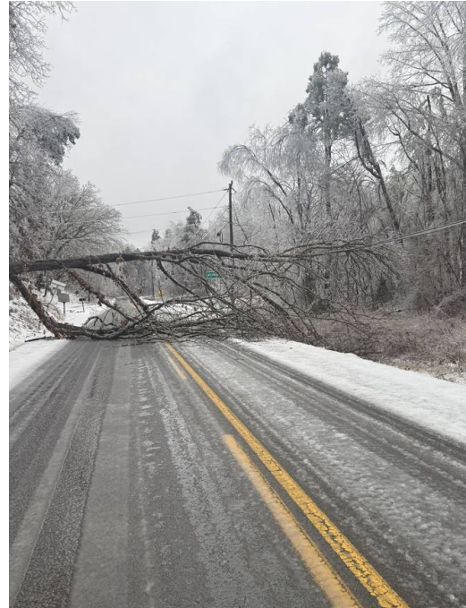 A fallen tree blocking an icy Tennessee road