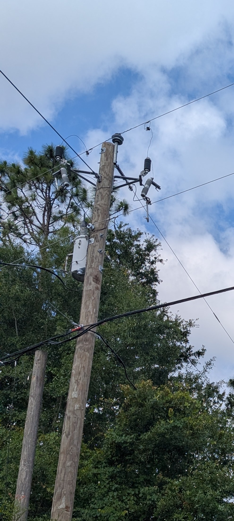 Distribution pole equipment and conductors viewed from the field